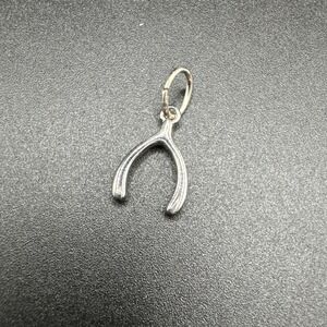 Premier Designs‎ Wishbone Pendant